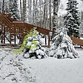 Snow Fox, скат 10 м