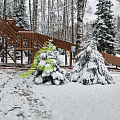 Snow Fox, скат 10 м Snow Fox, скат 10 м